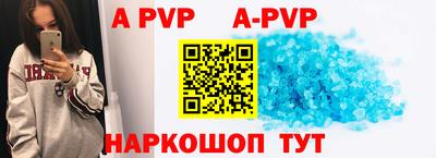 амф Кингисепп