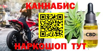 амф Кингисепп