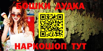 амф Кингисепп