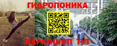 амф Кингисепп