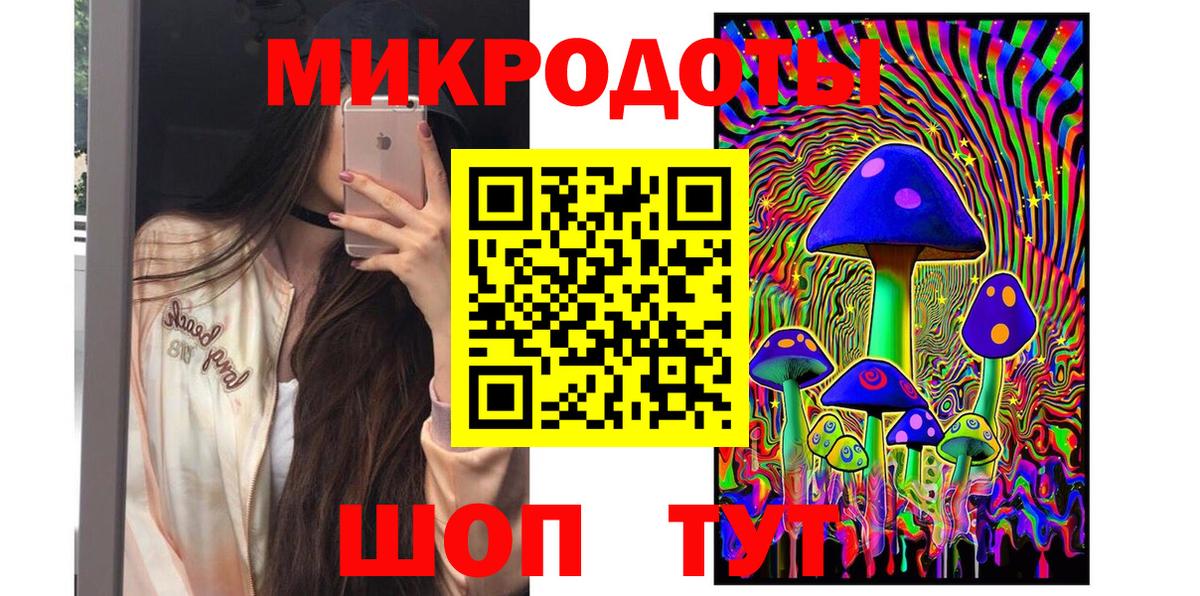 Галлюциногенные грибы Psilocybine cubensis Куйбышев