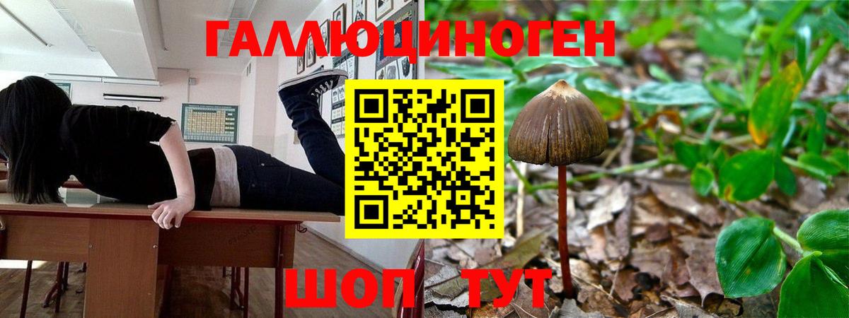 Галлюциногенные грибы Psilocybe  Вход с VPN  Куйбышев  Галлюциногенные грибы мухоморы 